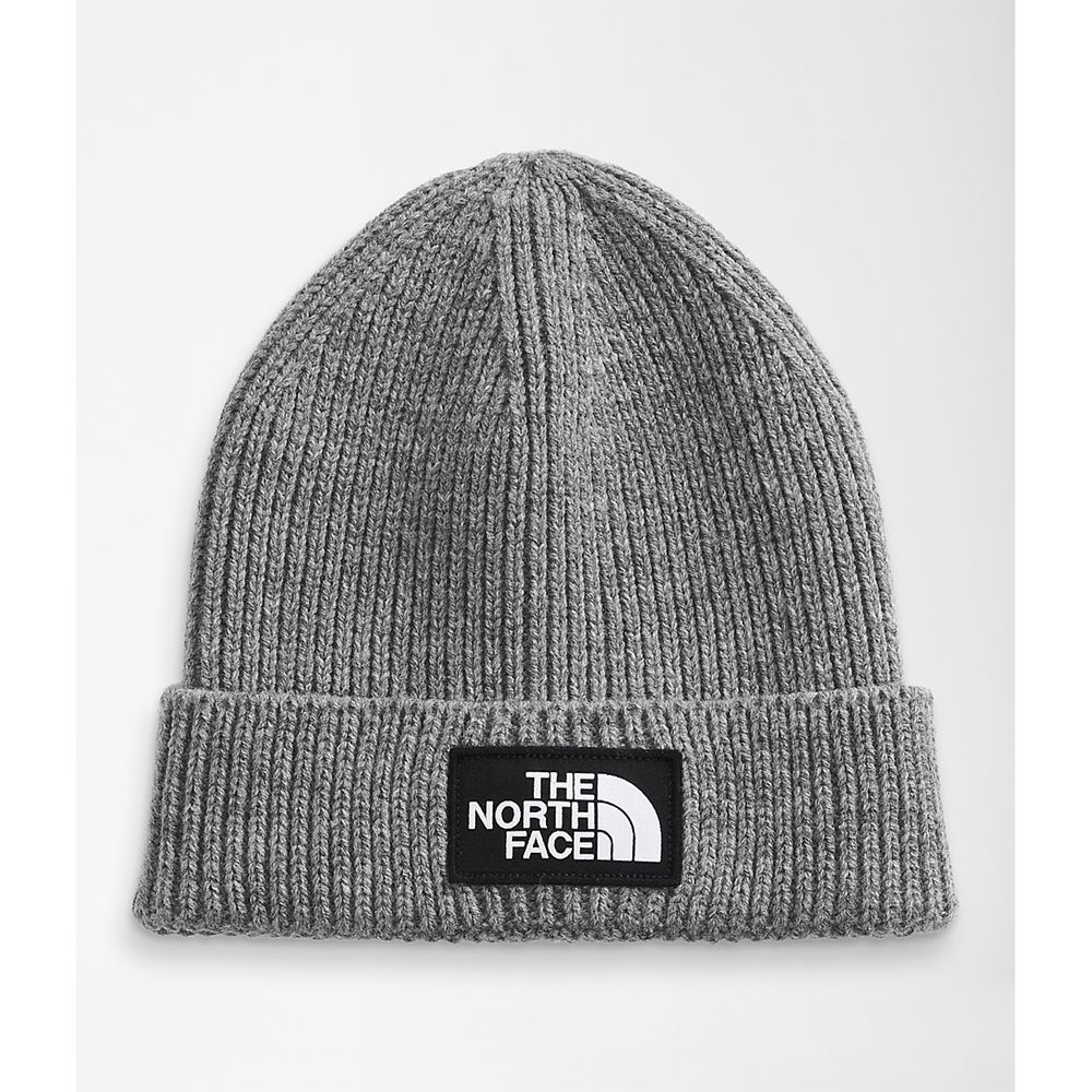 The North Face Beanies Youth Australia - The North Face Tnf™ Logo Box Cuffed Grey Ski (SGZ-195083)